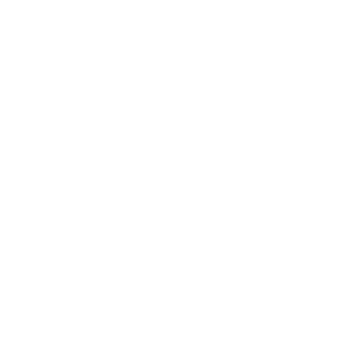 CHRISTIAN AUTOMOTORS